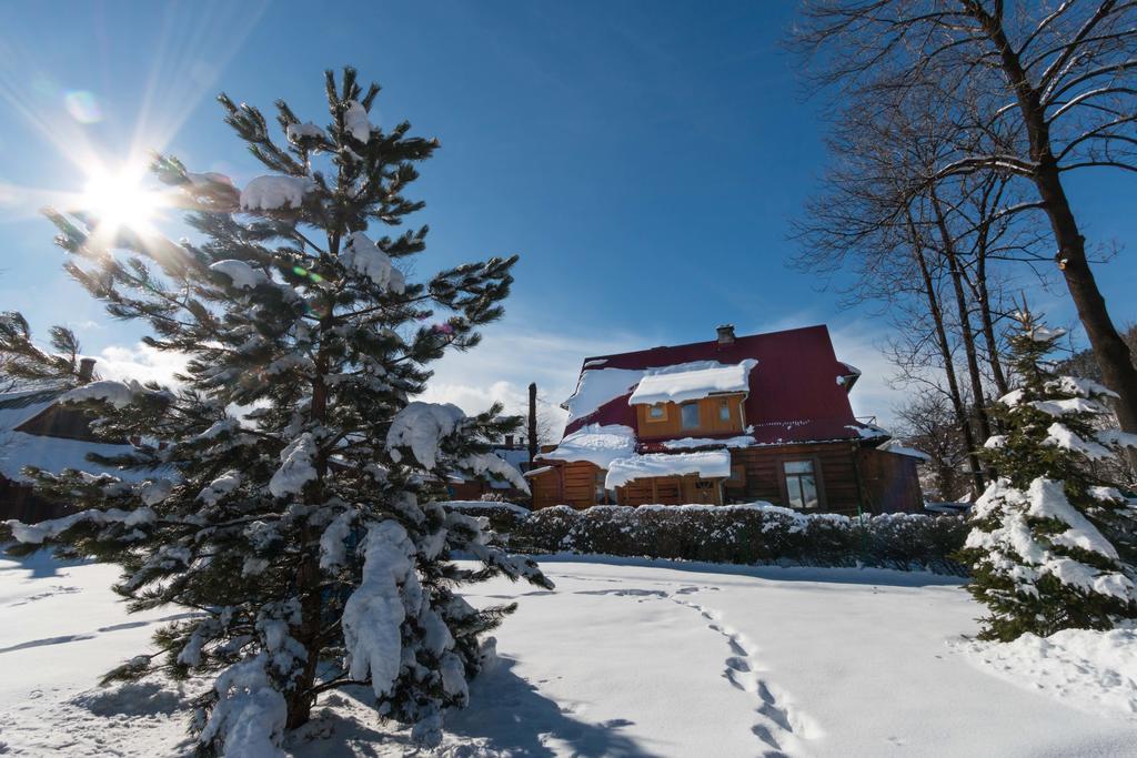 Apartament Parzenica 扎科帕内 外观 照片