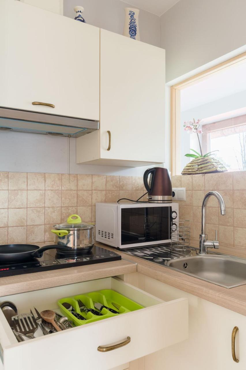 Apartament Parzenica 扎科帕内 外观 照片